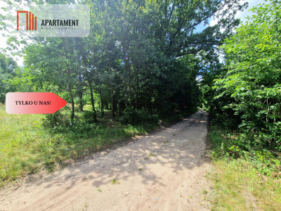 Działki budowlane w lesie blisko Poznania - powiat wągrowiecki  -
Wielkopolskie Zdjęcie nr 10