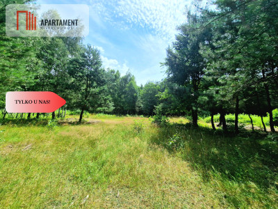 Działki budowlane w lesie blisko Poznania - powiat wągrowiecki  -
Wielkopolskie Zdjęcie nr 2