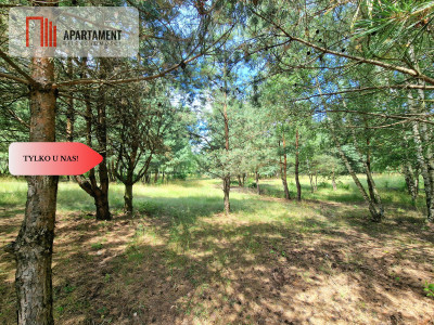 Działki budowlane w lesie blisko Poznania - powiat wągrowiecki  -
Wielkopolskie Zdjęcie nr 3