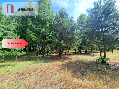 Działki budowlane w lesie blisko Poznania - powiat wągrowiecki  -
Wielkopolskie Zdjęcie nr 6