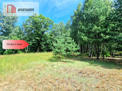 Działki budowlane w lesie blisko Poznania - powiat wągrowiecki  -
Wielkopolskie Zdjęcie nr 7