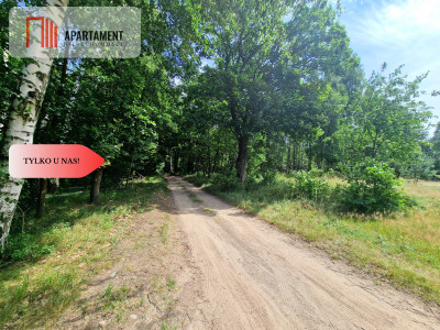 Działki budowlane w lesie blisko Poznania - powiat wągrowiecki  -
Wielkopolskie Zdjęcie nr 8