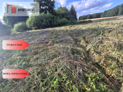 Działka budowlana w Boroszewie - Boroszewo  -
Pomorskie Zdjęcie nr 7