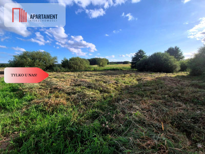 Działka budowlana w Boroszewie - Boroszewo  -
Pomorskie Zdjęcie nr 8