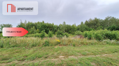 Działka budowlana pod lasem- Dolnik - powiat złotowski  -
Wielkopolskie Zdjęcie nr 7