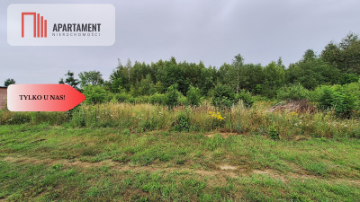 Działka budowlana pod lasem- Dolnik - powiat złotowski  -
Wielkopolskie Zdjęcie nr 9