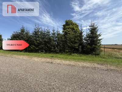 Ostatnia działka budowlana w Nowym Gronowie - Nowe Gronowo  -
Pomorskie Zdjęcie nr 7