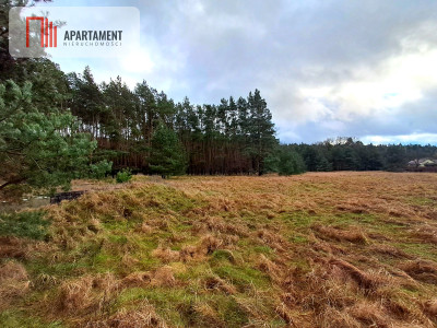 Super działka przy lesie w Drzewcach - powiat bydgoski  -
Kujawsko-Pomorskie Zdjęcie nr 2