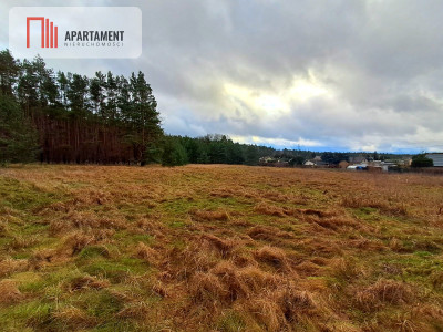 Super działka przy lesie w Drzewcach - powiat bydgoski  -
Kujawsko-Pomorskie Zdjęcie nr 3