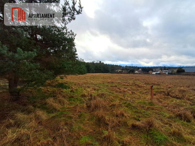 Super działka przy lesie w Drzewcach - powiat bydgoski  -
Kujawsko-Pomorskie Zdjęcie nr 5