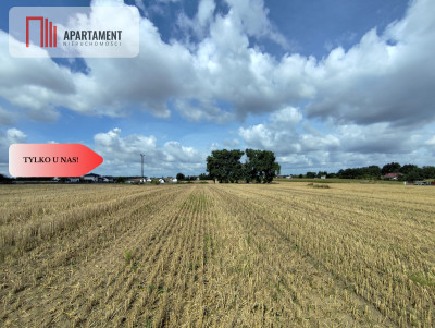 Działka z warunkami zabudowy blisko Więcborka - Witunia  -
Kujawsko-Pomorskie Zdjęcie nr 3