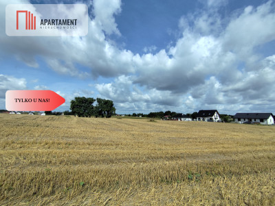 Działka z warunkami zabudowy blisko Więcborka - Witunia  -
Kujawsko-Pomorskie Zdjęcie nr 4