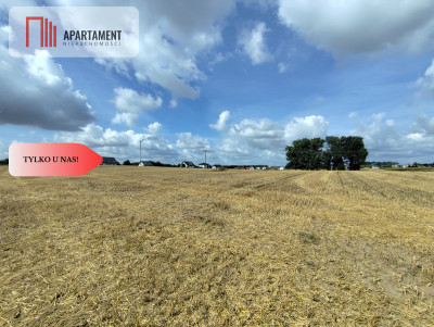 Działka z warunkami zabudowy blisko Więcborka - Witunia  -
Kujawsko-Pomorskie Zdjęcie nr 6