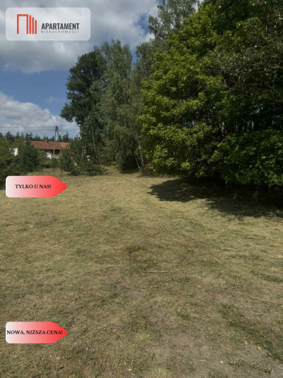 Działka budowlana przy lesie Ocypel 1 km do jezior - Ocypel  -
Pomorskie Zdjęcie nr 8