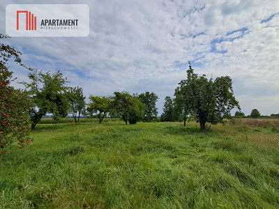 Działka budowlana w Jelonkach - spokojna okolica - Jelonki  -
Warmińsko-Mazurskie Zdjęcie nr 3