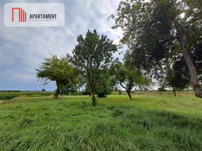 Działka budowlana w Jelonkach - spokojna okolica - Jelonki  -
Warmińsko-Mazurskie Zdjęcie nr 5