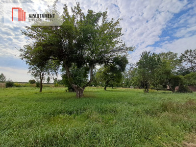 Działka budowlana w Jelonkach - spokojna okolica - Jelonki  -
Warmińsko-Mazurskie Zdjęcie nr 6