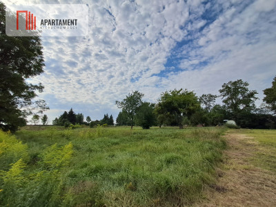 Działka budowlana w Jelonkach - spokojna okolica - Jelonki  -
Warmińsko-Mazurskie Zdjęcie nr 7