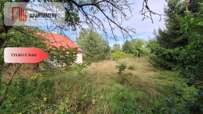 Przepiękne siedlisko wiele możliwości - powiat strzelecko-drezdenecki  -
Lubuskie Zdjęcie nr 3