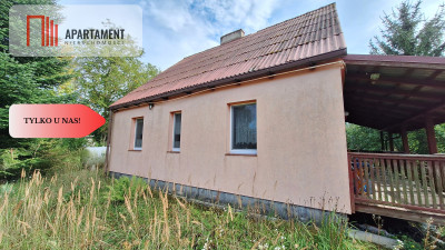 Przepiękne siedlisko wiele możliwości - powiat strzelecko-drezdenecki  -
Lubuskie Zdjęcie nr 4