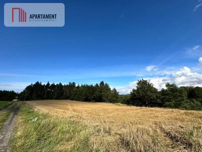 Unikalna działka 376 ha z własnym jeziorem - Głodowo  -
Pomorskie Zdjęcie nr 12