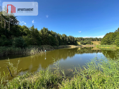 Unikalna działka 376 ha z własnym jeziorem - Głodowo  -
Pomorskie Zdjęcie nr 4