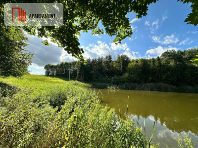 Unikalna działka 376 ha z własnym jeziorem - Głodowo  -
Pomorskie Zdjęcie nr 5