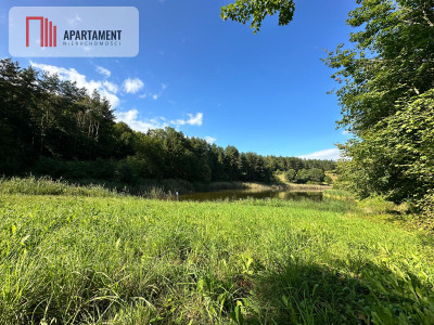 Unikalna działka 376 ha z własnym jeziorem - Głodowo  -
Pomorskie Zdjęcie nr 6