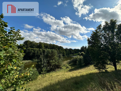 Unikalna działka 376 ha z własnym jeziorem - Głodowo  -
Pomorskie Zdjęcie nr 7