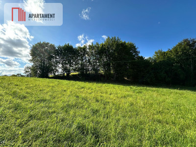 Unikalna działka 376 ha z własnym jeziorem - Głodowo  -
Pomorskie Zdjęcie nr 9