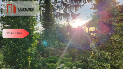 Piękna działka rekreacyjna z KW - domek ogród - Trzeciewnica  -
Kujawsko-Pomorskie Zdjęcie nr 11