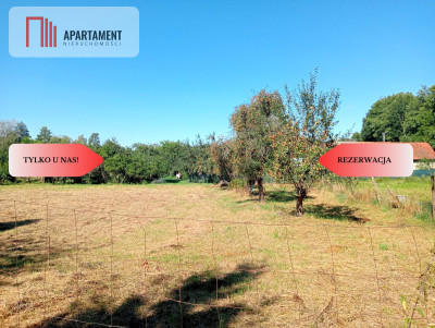 Działki budowlane w cichej zielonej okolicy  - Garwół  -
Dolnośląskie Zdjęcie nr 3