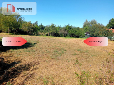 Działki budowlane w cichej zielonej okolicy  - Garwół  -
Dolnośląskie Zdjęcie nr 6