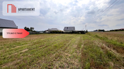 2 Działki Rożental na starych zasadach WZ - Pelplin  -
Pomorskie Zdjęcie nr 3