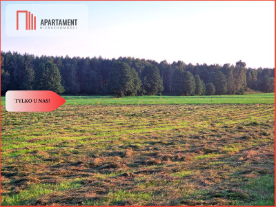 Ustronna działka - Twoja prywatna przestrzeń - Kęsza  -
Pomorskie Zdjęcie nr 2