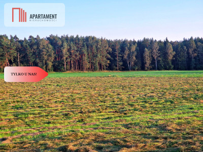 Ustronna działka - Twoja prywatna przestrzeń - Kęsza  -
Pomorskie Zdjęcie nr 3