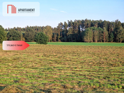 Ustronna działka - Twoja prywatna przestrzeń - Kęsza  -
Pomorskie Zdjęcie nr 4