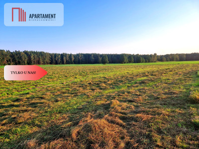 Ustronna działka - Twoja prywatna przestrzeń - Kęsza  -
Pomorskie Zdjęcie nr 6