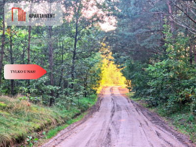 Tylko u nas Działka rolna z pięknym zadrzewieniem - Będźmierowice  -
Pomorskie Zdjęcie nr 13