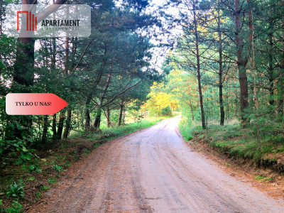 Tylko u nas Działka rolna z pięknym zadrzewieniem - Będźmierowice  -
Pomorskie Zdjęcie nr 14