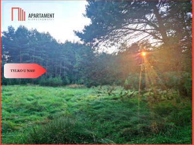 Tylko u nas Działka rolna z pięknym zadrzewieniem - Będźmierowice  - Pomorskie