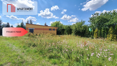 Atrakcyjna działka przy jeziorze - Buntowo  -
Wielkopolskie Zdjęcie nr 5