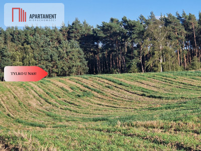 Działka budowlana z linią brzegową jeziora - Wiewiórczyn  -
Kujawsko-Pomorskie Zdjęcie nr 2