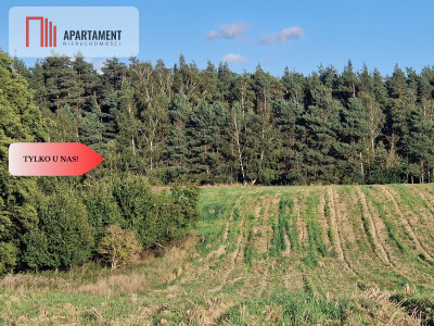 Działka budowlana z linią brzegową jeziora - Wiewiórczyn  -
Kujawsko-Pomorskie Zdjęcie nr 3