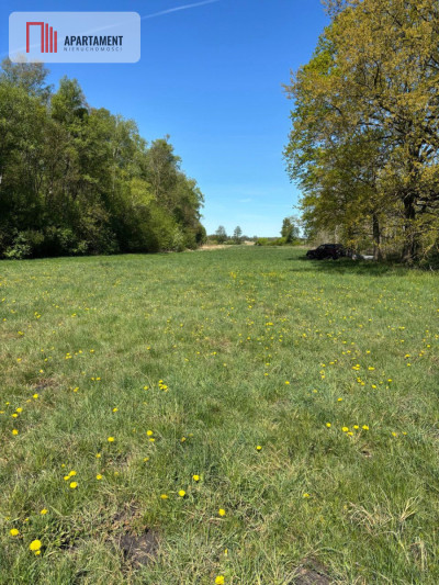 Wyjątkowa działka 34 ary k Iławy - Stradomno  -
Warmińsko-Mazurskie Zdjęcie nr 2