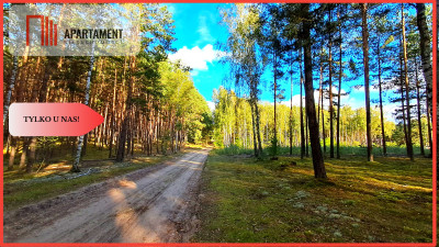 Duża działka rekreacyjna blisko jeziora - Cekcyn  - Kujawsko-Pomorskie