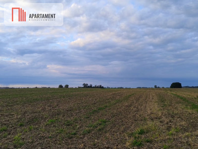 Działka w Borkowicach-bliskość morza - Borkowice  - Zachodniopomorskie