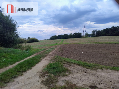 Działka w Borkowicach-bliskość morza - Borkowice  -
Zachodniopomorskie Zdjęcie nr 2