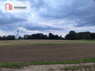 Działka w Borkowicach-bliskość morza - Borkowice  -
Zachodniopomorskie Zdjęcie nr 3