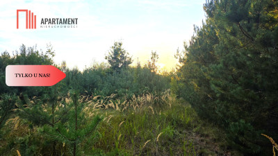 Działka blisko jeziora las 3300m2 - Piotrków Kujawski  -
Kujawsko-Pomorskie Zdjęcie nr 12